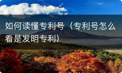 如何读懂专利号（专利号怎么看是发明专利）