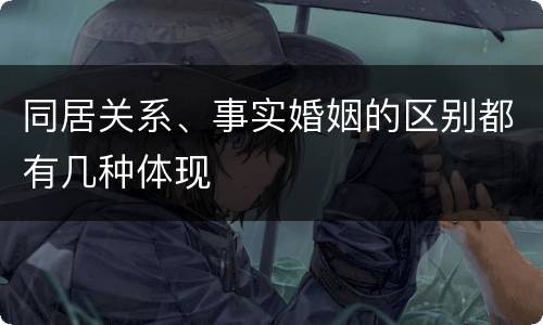 同居关系、事实婚姻的区别都有几种体现
