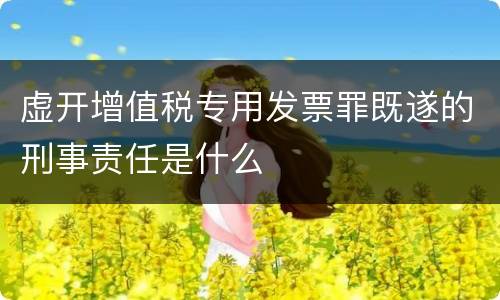 虚开增值税专用发票罪既遂的刑事责任是什么