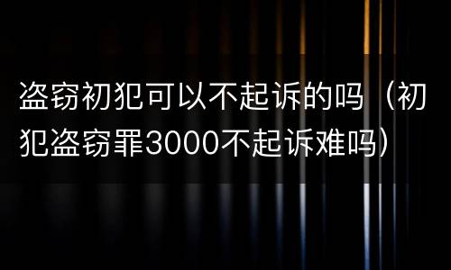盗窃初犯可以不起诉的吗（初犯盗窃罪3000不起诉难吗）
