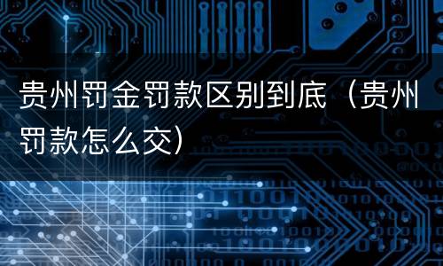 贵州罚金罚款区别到底（贵州罚款怎么交）