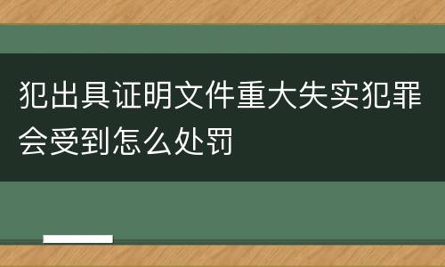 犯出具证明文件重大失实犯罪会受到怎么处罚