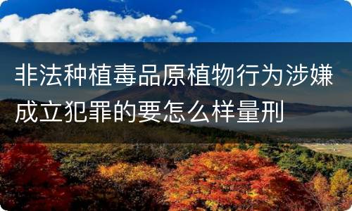 非法种植毒品原植物行为涉嫌成立犯罪的要怎么样量刑