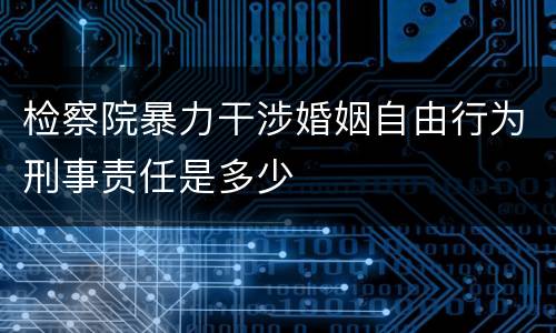 检察院暴力干涉婚姻自由行为刑事责任是多少
