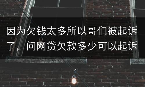 因为欠钱太多所以哥们被起诉了，问网贷欠款多少可以起诉