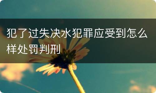 犯了过失决水犯罪应受到怎么样处罚判刑