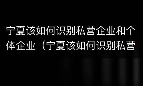 宁夏该如何识别私营企业和个体企业（宁夏该如何识别私营企业和个体企业的区别）