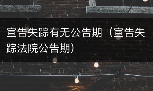 宣告失踪有无公告期（宣告失踪法院公告期）