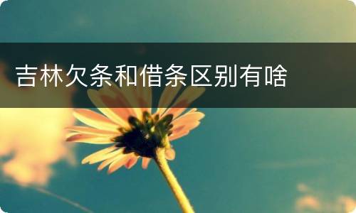 吉林欠条和借条区别有啥