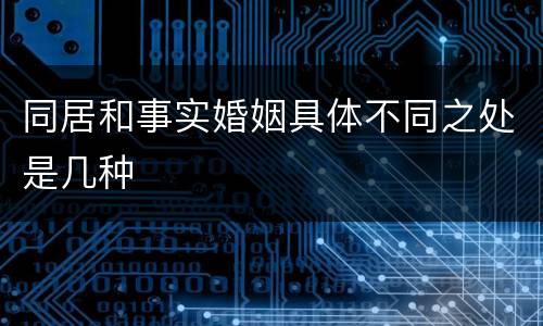 同居和事实婚姻具体不同之处是几种