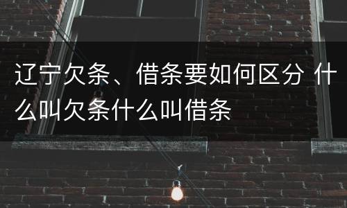 辽宁欠条、借条要如何区分 什么叫欠条什么叫借条