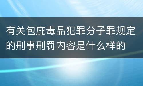 有关包庇毒品犯罪分子罪规定的刑事刑罚内容是什么样的