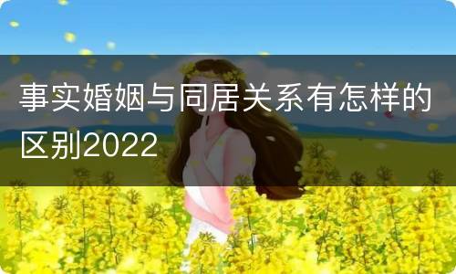 事实婚姻与同居关系有怎样的区别2022