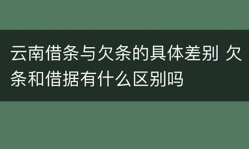 云南借条与欠条的具体差别 欠条和借据有什么区别吗