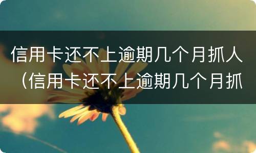 信用卡还不上逾期几个月抓人（信用卡还不上逾期几个月抓人有影响吗）