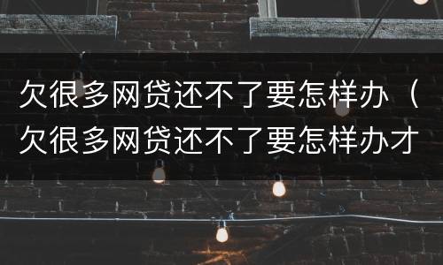 欠很多网贷还不了要怎样办（欠很多网贷还不了要怎样办才能还）