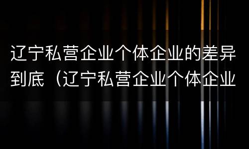 辽宁私营企业个体企业的差异到底（辽宁私营企业个体企业的差异到底有多大）