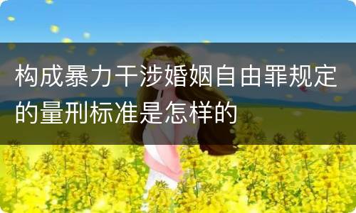 构成暴力干涉婚姻自由罪规定的量刑标准是怎样的
