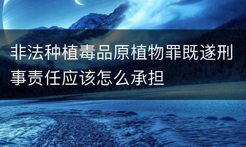 非法种植毒品原植物罪既遂刑事责任应该怎么承担