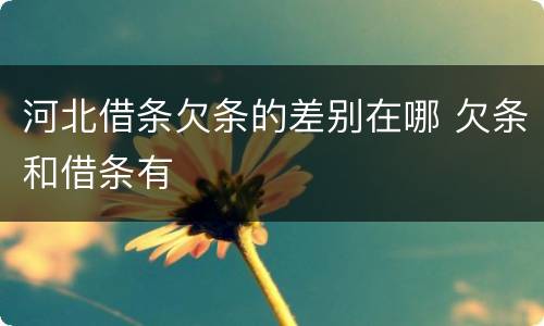河北借条欠条的差别在哪 欠条和借条有