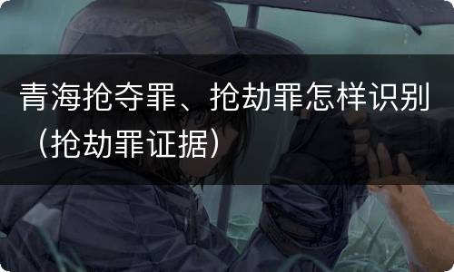 青海抢夺罪、抢劫罪怎样识别（抢劫罪证据）