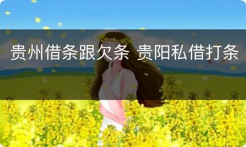 贵州借条跟欠条 贵阳私借打条