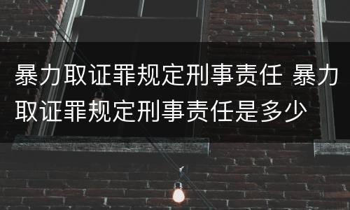 暴力取证罪规定刑事责任 暴力取证罪规定刑事责任是多少