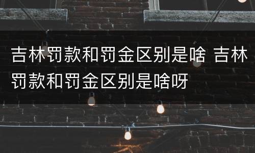吉林罚款和罚金区别是啥 吉林罚款和罚金区别是啥呀