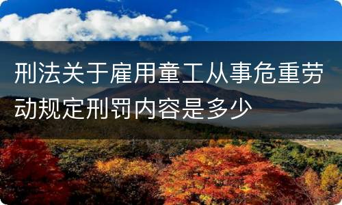 刑法关于雇用童工从事危重劳动规定刑罚内容是多少