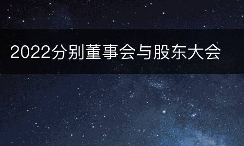 2022分别董事会与股东大会