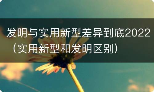 发明与实用新型差异到底2022（实用新型和发明区别）