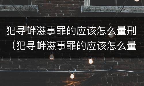 犯寻衅滋事罪的应该怎么量刑（犯寻衅滋事罪的应该怎么量刑呢）