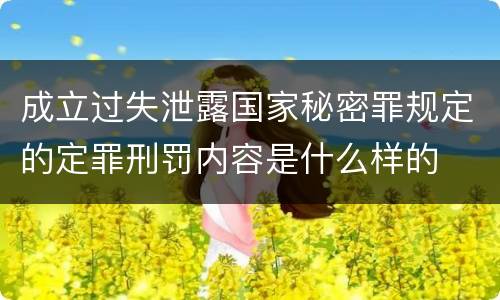 成立过失泄露国家秘密罪规定的定罪刑罚内容是什么样的