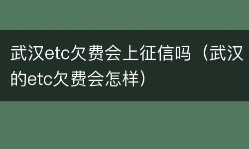 武汉etc欠费会上征信吗（武汉的etc欠费会怎样）
