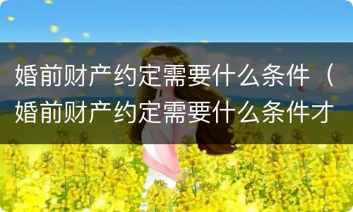 婚前财产约定需要什么条件（婚前财产约定需要什么条件才能生效）