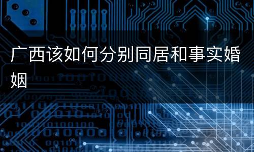广西该如何分别同居和事实婚姻
