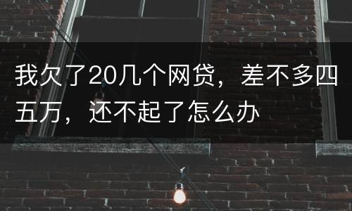 我欠了20几个网贷，差不多四五万，还不起了怎么办