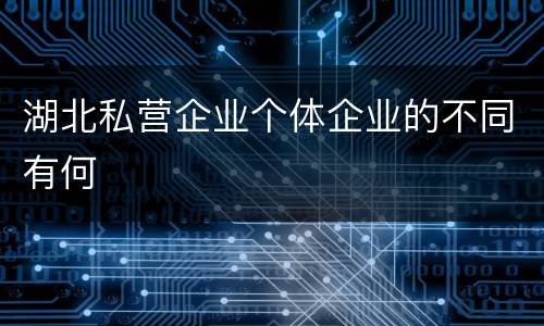 湖北私营企业个体企业的不同有何