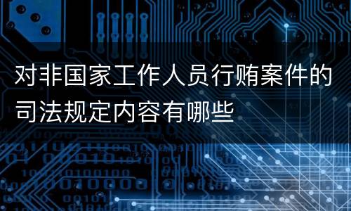 对非国家工作人员行贿案件的司法规定内容有哪些