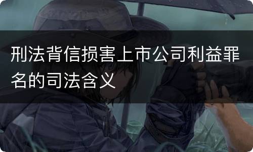 刑法背信损害上市公司利益罪名的司法含义