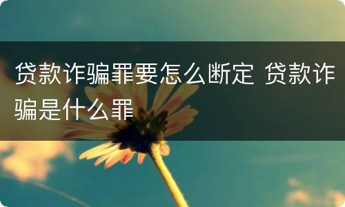 贷款诈骗罪要怎么断定 贷款诈骗是什么罪