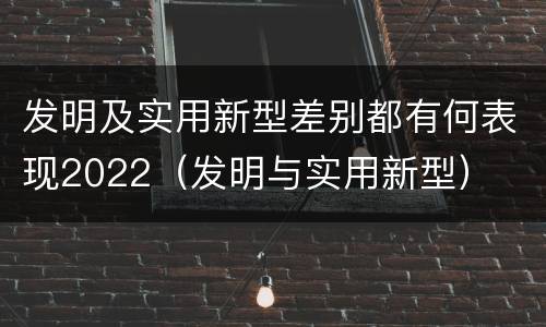 发明及实用新型差别都有何表现2022（发明与实用新型）