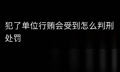 犯了单位行贿会受到怎么判刑处罚
