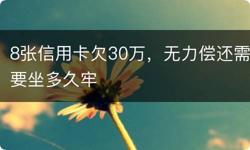 8张信用卡欠30万，无力偿还需要坐多久牢