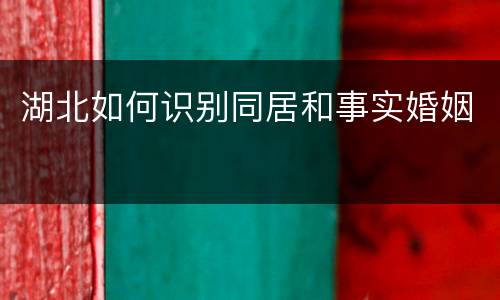 湖北如何识别同居和事实婚姻