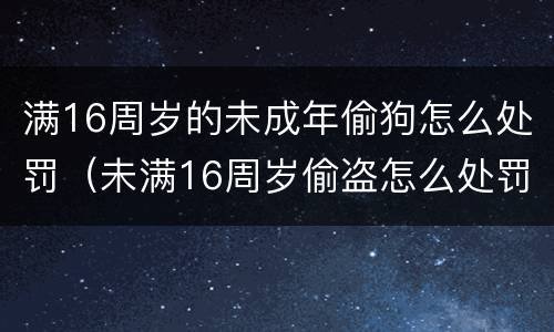 满16周岁的未成年偷狗怎么处罚（未满16周岁偷盗怎么处罚）