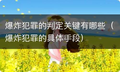爆炸犯罪的判定关键有哪些（爆炸犯罪的具体手段）