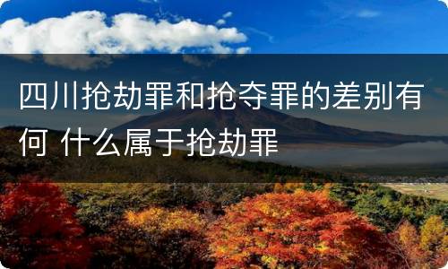 四川抢劫罪和抢夺罪的差别有何 什么属于抢劫罪
