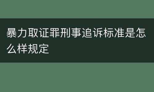暴力取证罪刑事追诉标准是怎么样规定