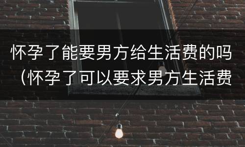 怀孕了能要男方给生活费的吗（怀孕了可以要求男方生活费吗）